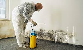 Why You Should Choose Our Mold Remediation Services in Sunnyside, WA