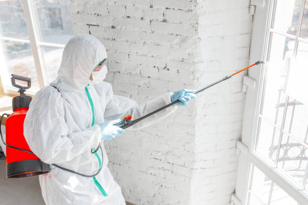 Reliable Sunnyside, WA Mold Removal Solutions